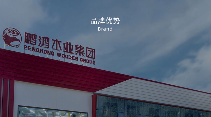 ���Ʒ�ơ�ȫ�ݶ���Ʒ�ơ���̬��ʮ��Ʒ��